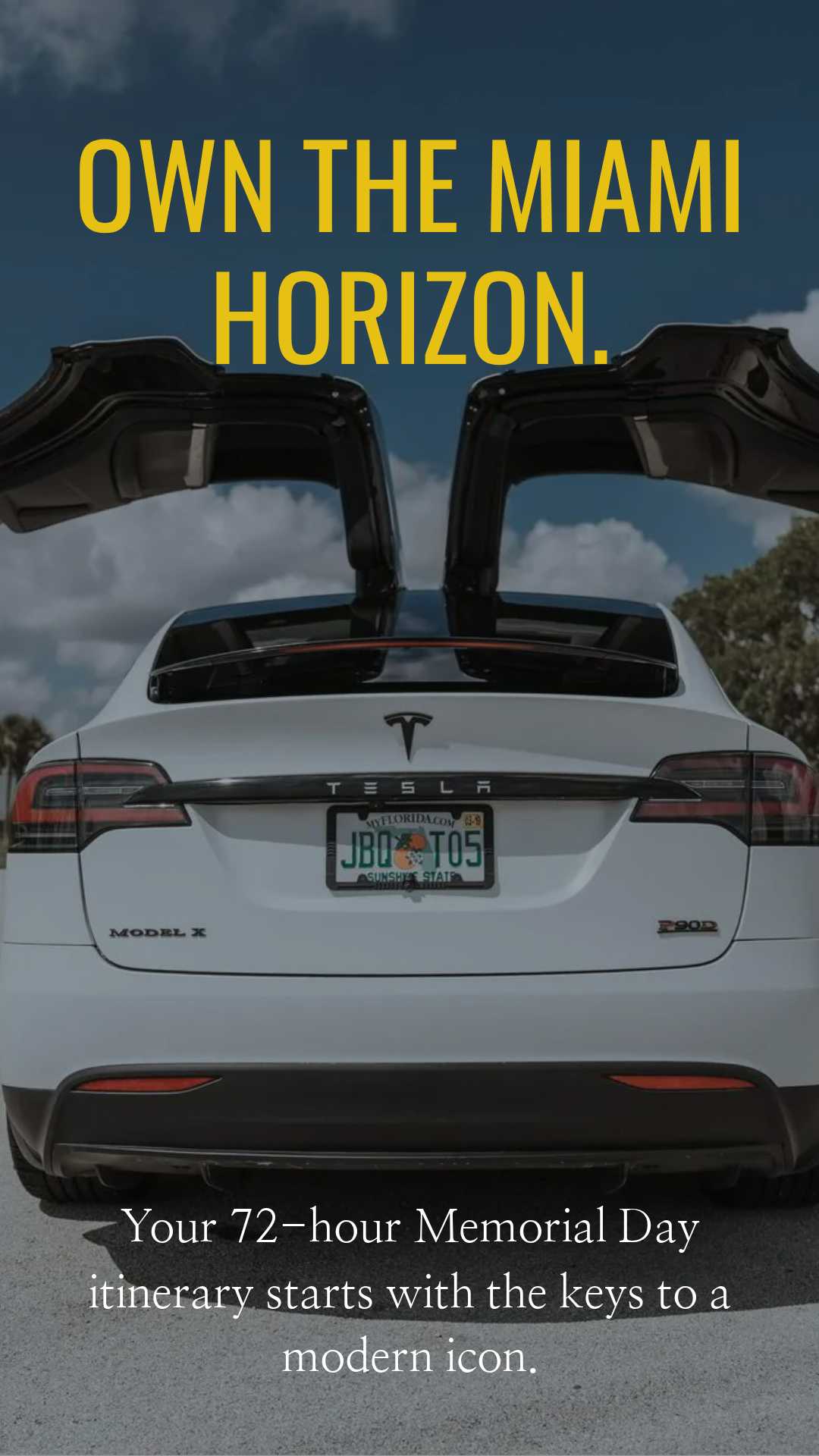 Own the Miami Horizon